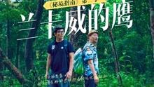 无忧国际wy6999